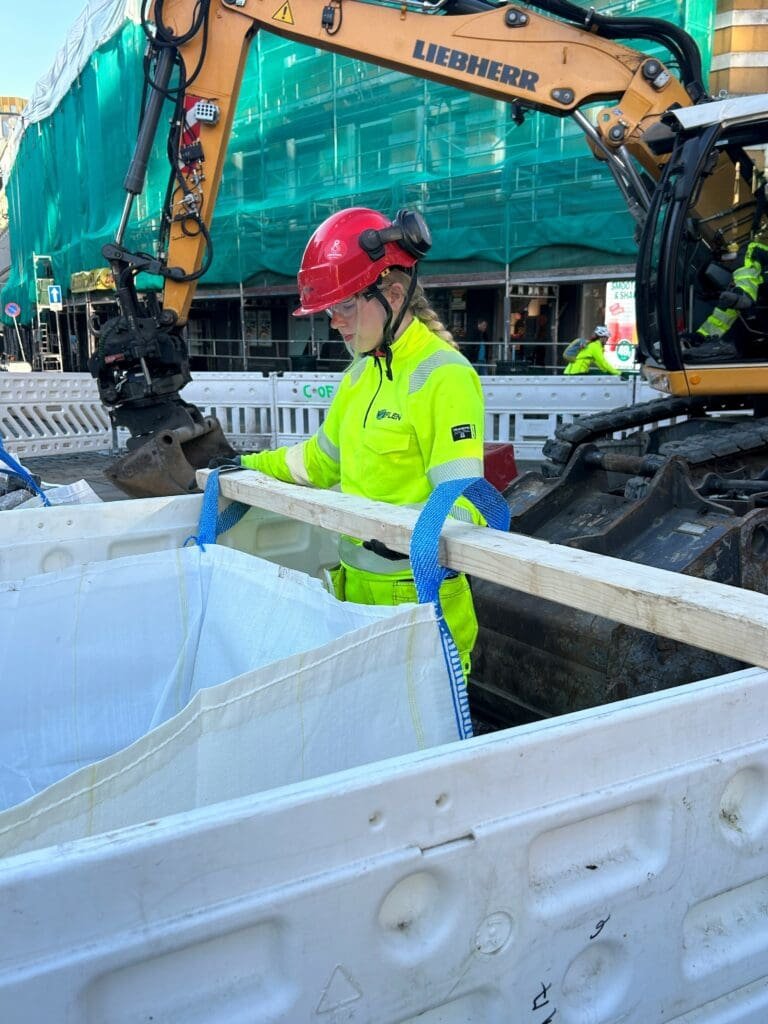 Bilde av Emilie Stykket